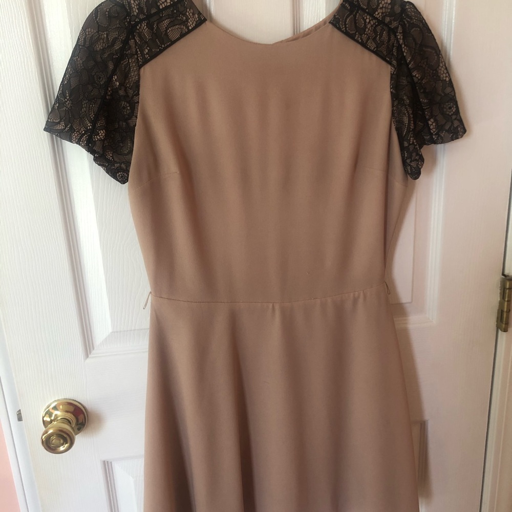 Oasis crepe dress